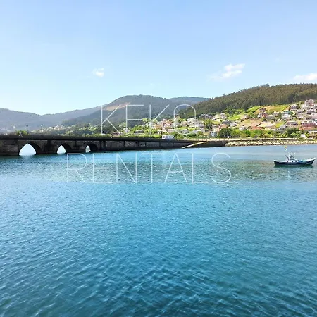 Historico Viveiro
