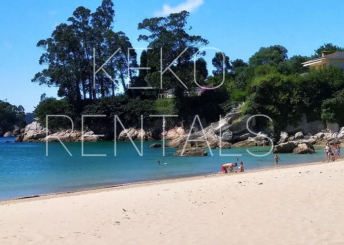 Historico Daire Viveiro